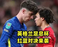 kaiyun开云-诺贝尔布莱顿灰瓷砖