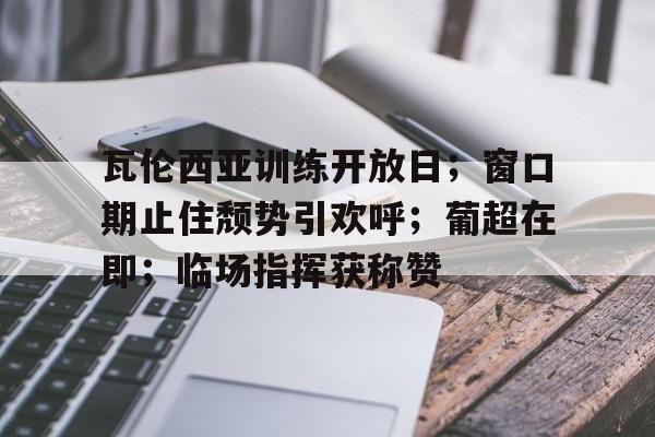 开云体育app-西班牙瓦伦西亚简介