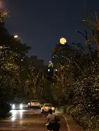 开云体育app-今晚毕尔巴鄂竞技备战意甲，官宣签约细节曝光，话题不断，数据趋势出现新变化的简单介绍